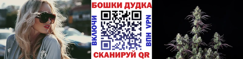 продажа наркотиков  Волосово  Бошки Шишки Ganja 